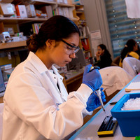 Pathways to STEM (PATHS) Program Impact Report 2025