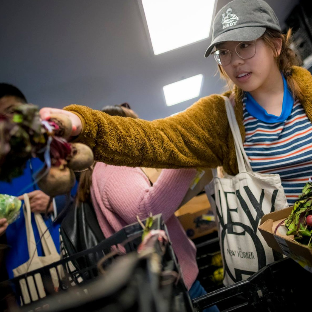 Student Support, Success and Wellness